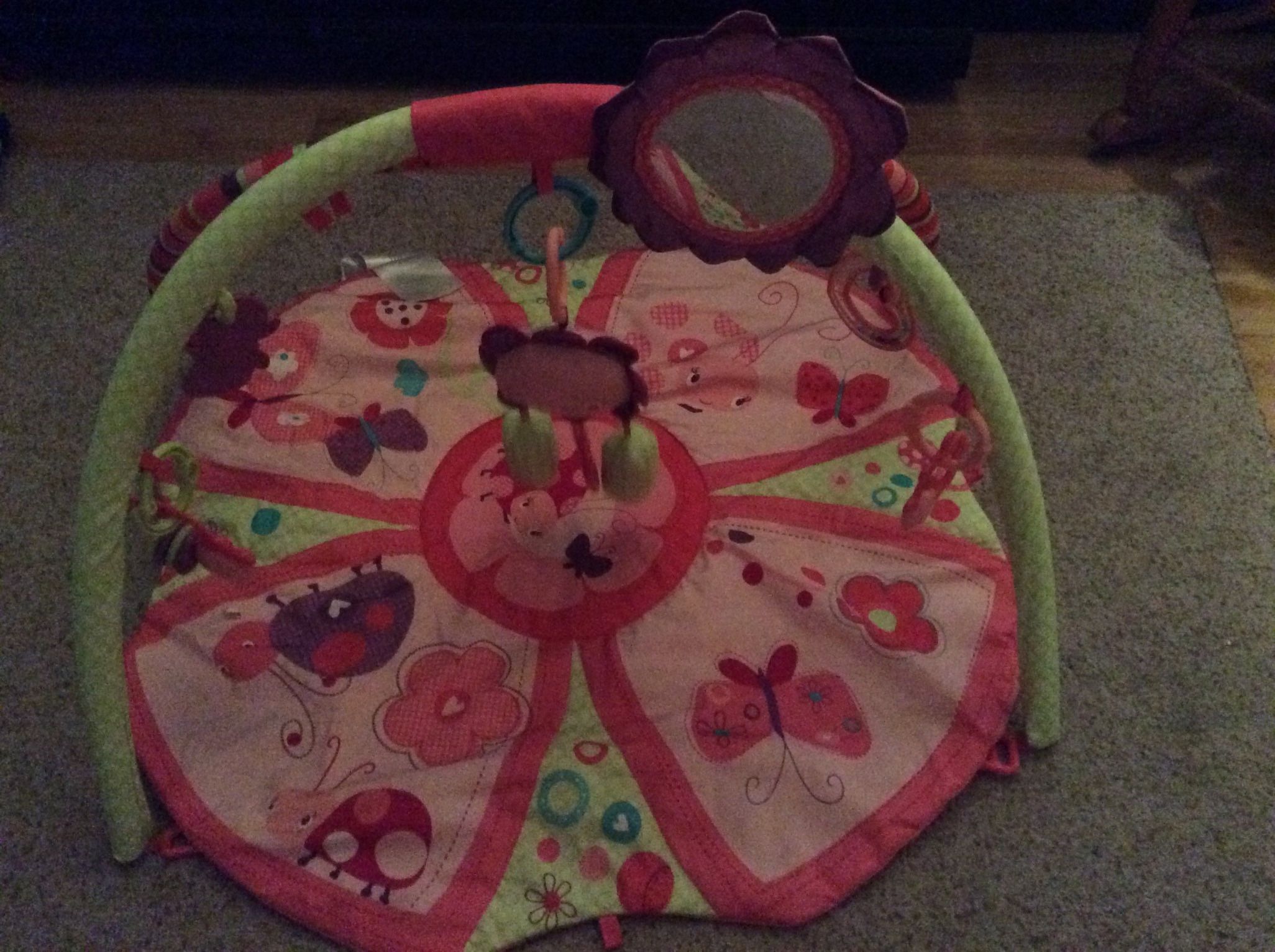 Bright Starts Giggle Garden Activity Gym With Carrying Case Like New New Cost Was $45