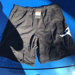 Air Jordan Jumpman Shorts Brand New