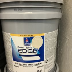 10 Gallons Of Interior Paint (Chopsticks)