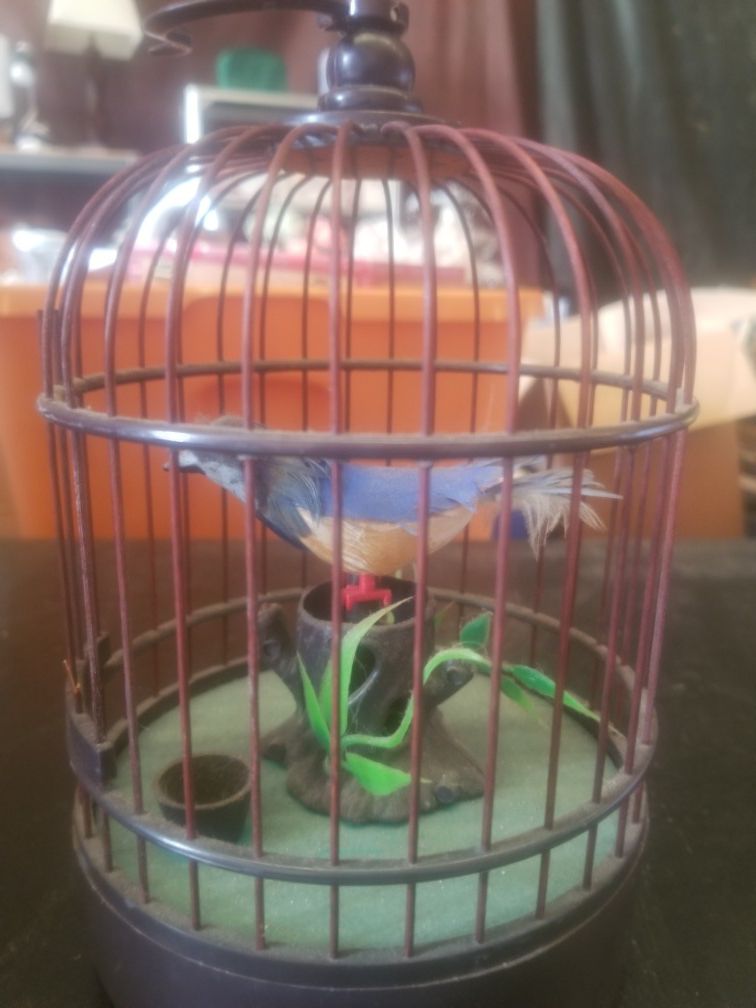 Chirping bird in cage