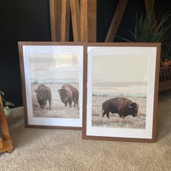Wall Frames 
