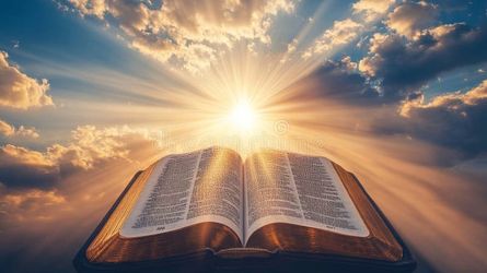 Bible Studies