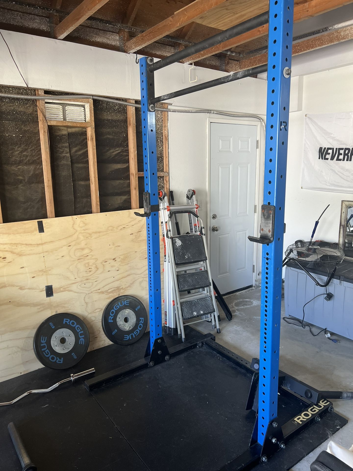 Rogue Home Gym