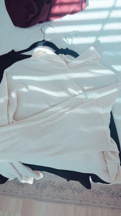 Alo  Cropped Hoodie
