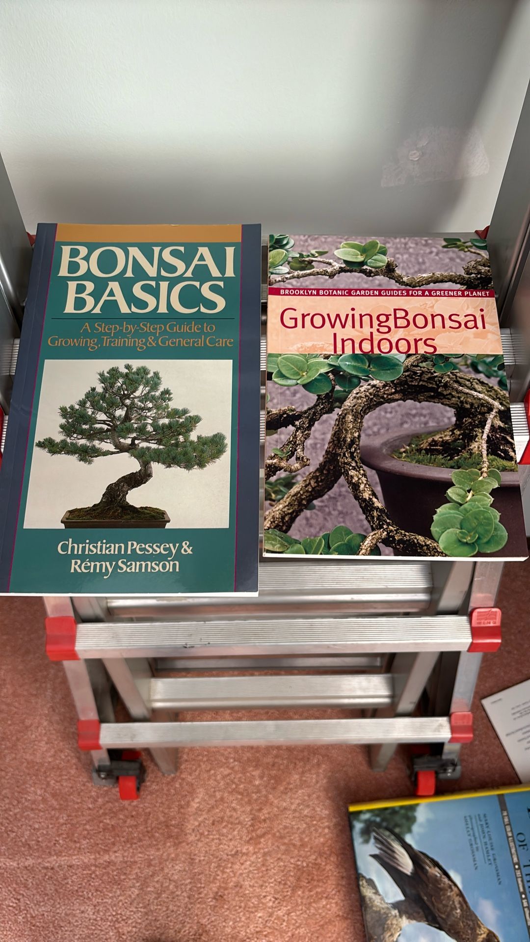 Two Bonsai Books
