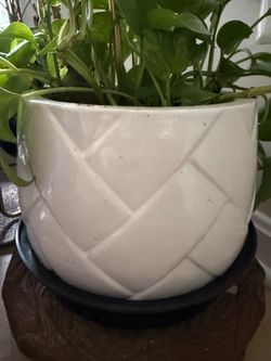 White Ceramic Planter