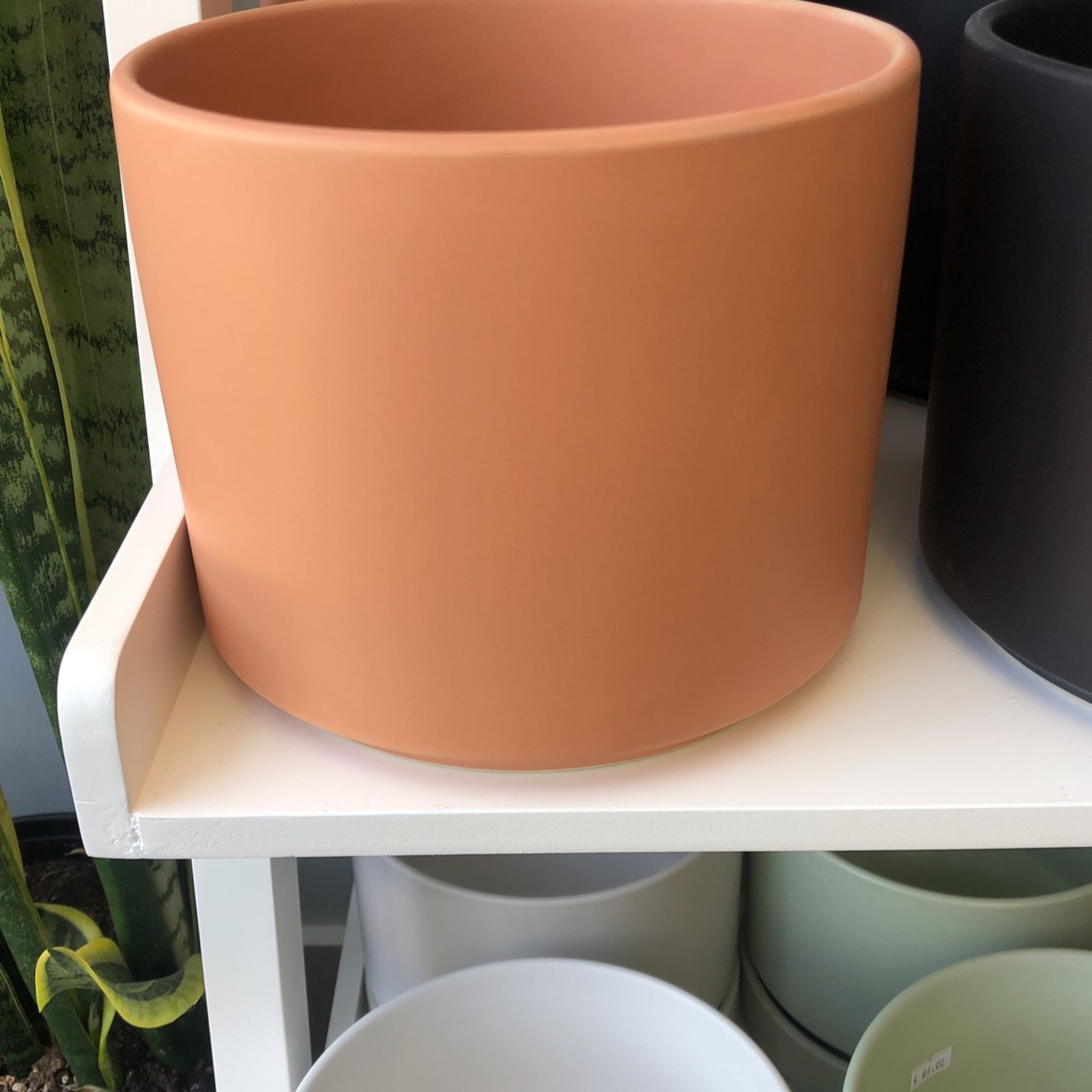 The Six Cylinder Peachycotta Pot