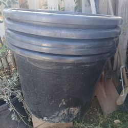 Planter Pots