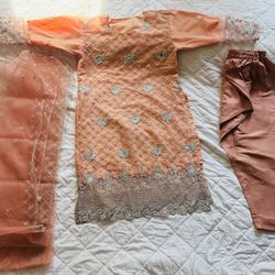 Net Embroidery Pakistani Dress