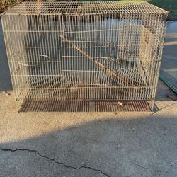 Bird Cage 