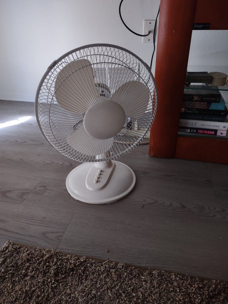 Oscillating Fan