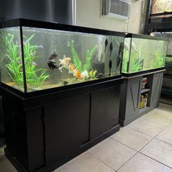 Fish Tank Aquarium 75 Gallon 