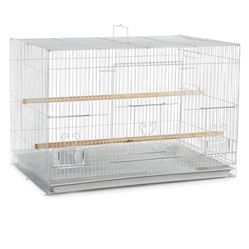 Birdcage 