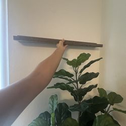 Cute Little Shelf 