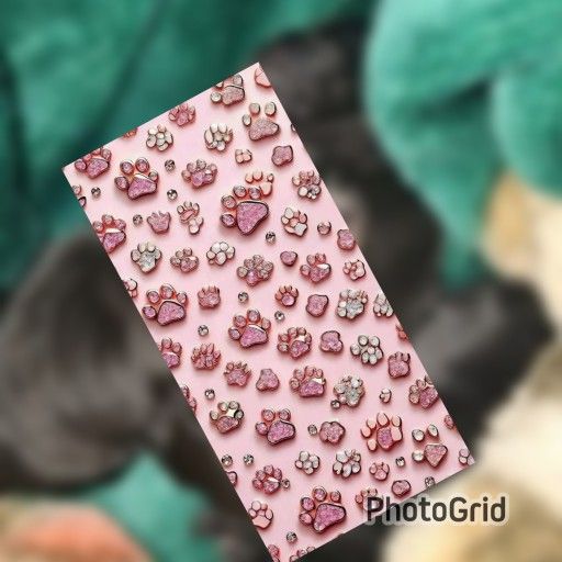 🐾🤑
