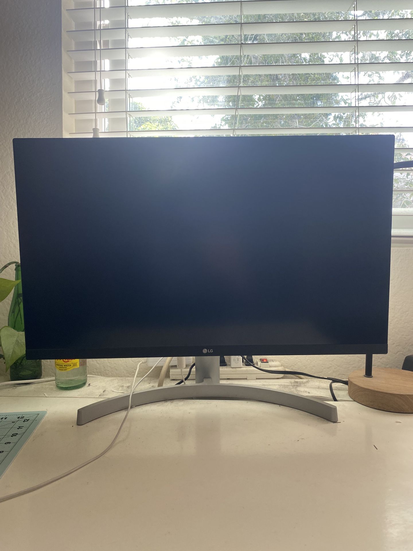 LG Computer Monitor
