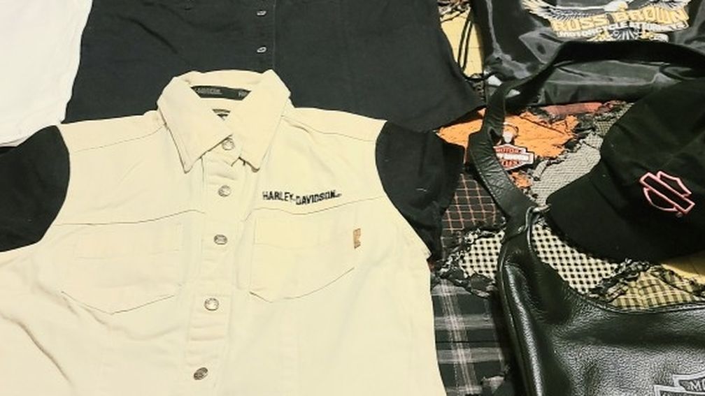 Buddle Harley Davidson Stuff.