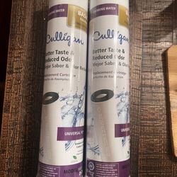 Culligan D-20A Basic Drinking Water Filtation Replacement Cartridge -2 pieces