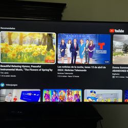 Tv 55 plg