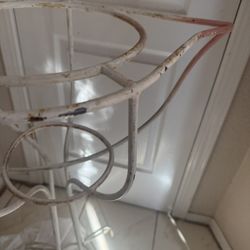 Plant  Holder Masetera