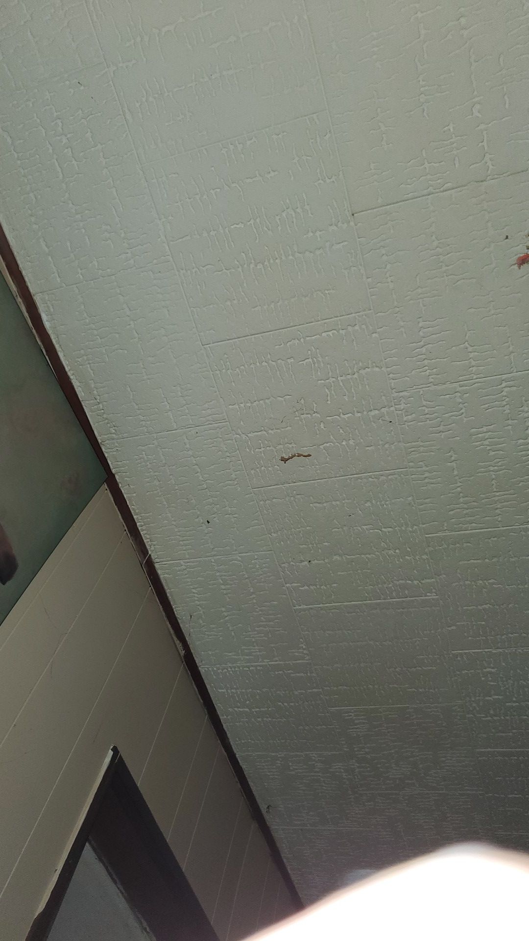 1 ton dumptruck load of split oak for $250