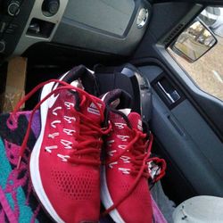 Size 8 And 1/2 Nike/Zoom / P E G A S U S/33