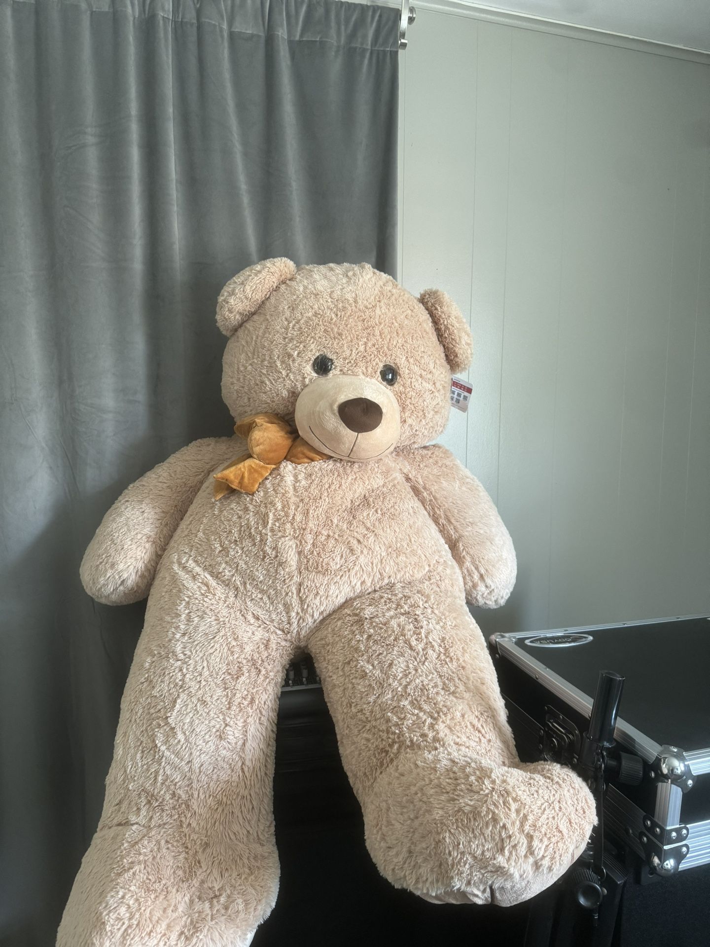 Big Teddy Bear 🧸