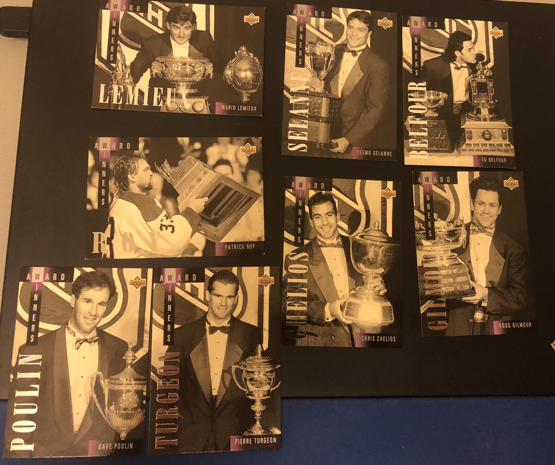 1993-94 Upper Deck Hockey 8 Card Award Winner Subset