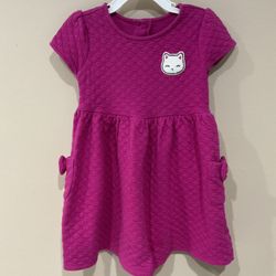 Cute Girl’s Textured Jersey Dress, Size 4T, by Gymboree