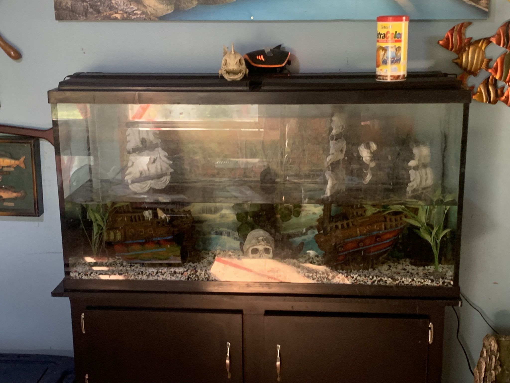 60 Gallon Fish Tank