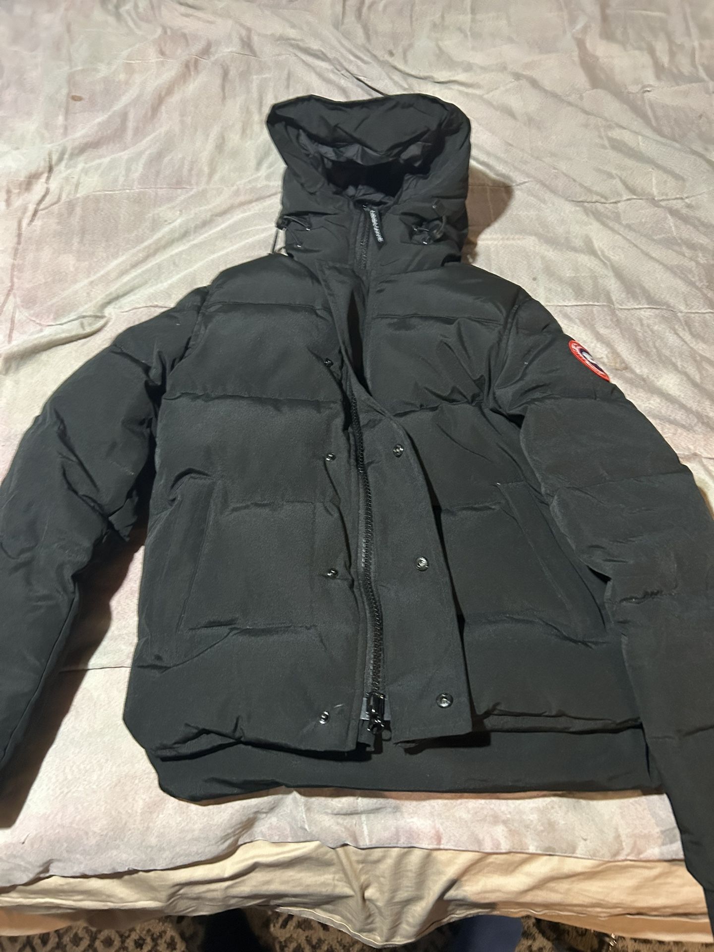 Canada Goose