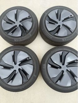 Tesla Model Y rim 19