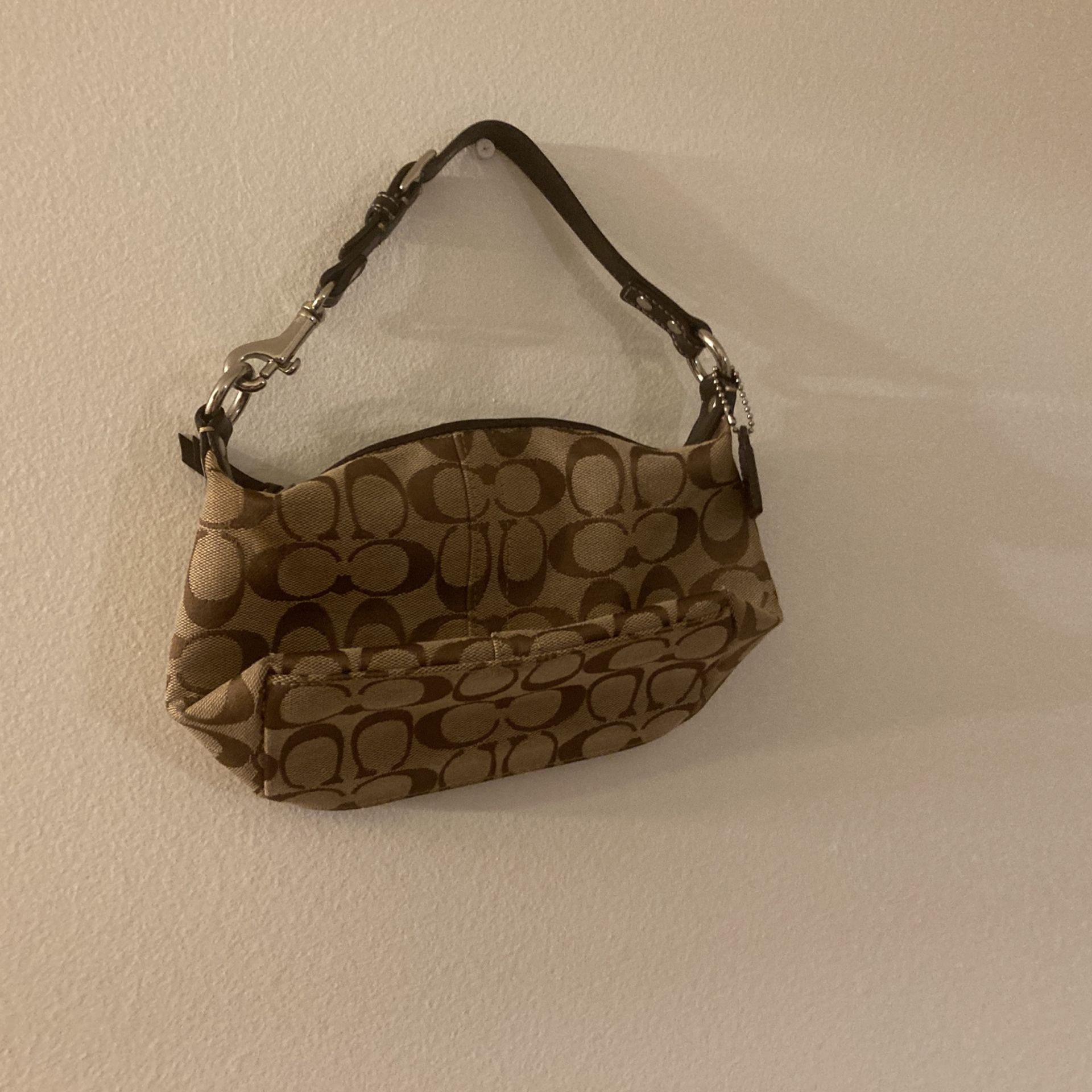 Mini Brown Coach Bag