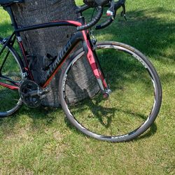 Specialized Tarmac 54cm $700