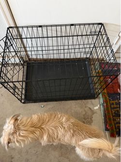 Dog crate