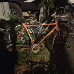 Antique Bike Sears10 Speed