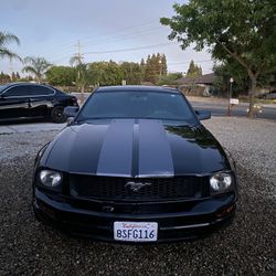 07 Ford Mustang 