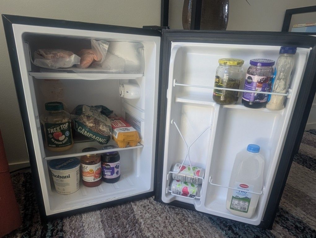 Mini Fridge