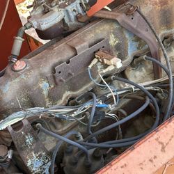 Compton Nut Elevator 