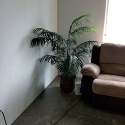 LARGE PALM TREE FAKE PLANT