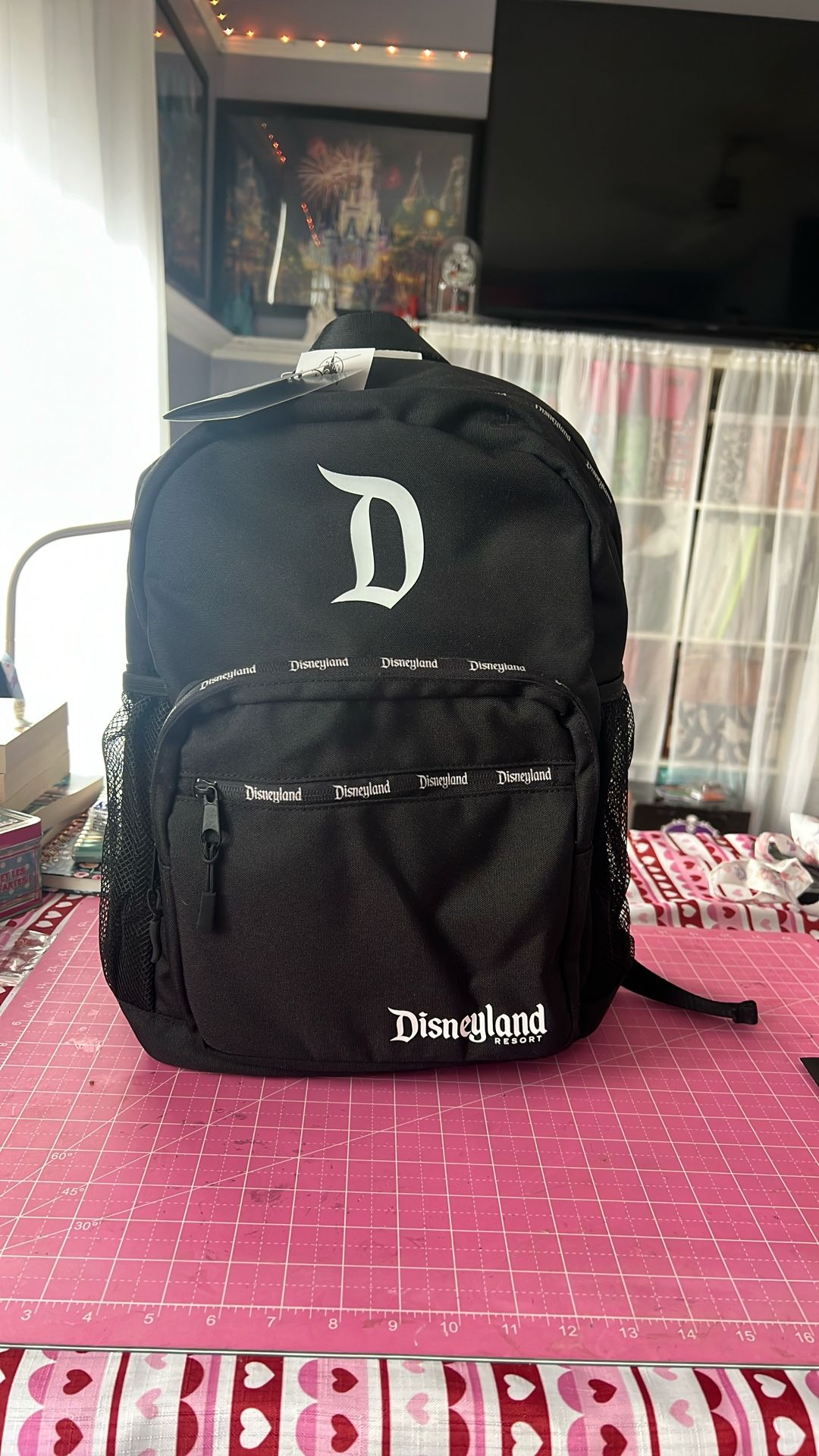 New Disneyland Backpack 