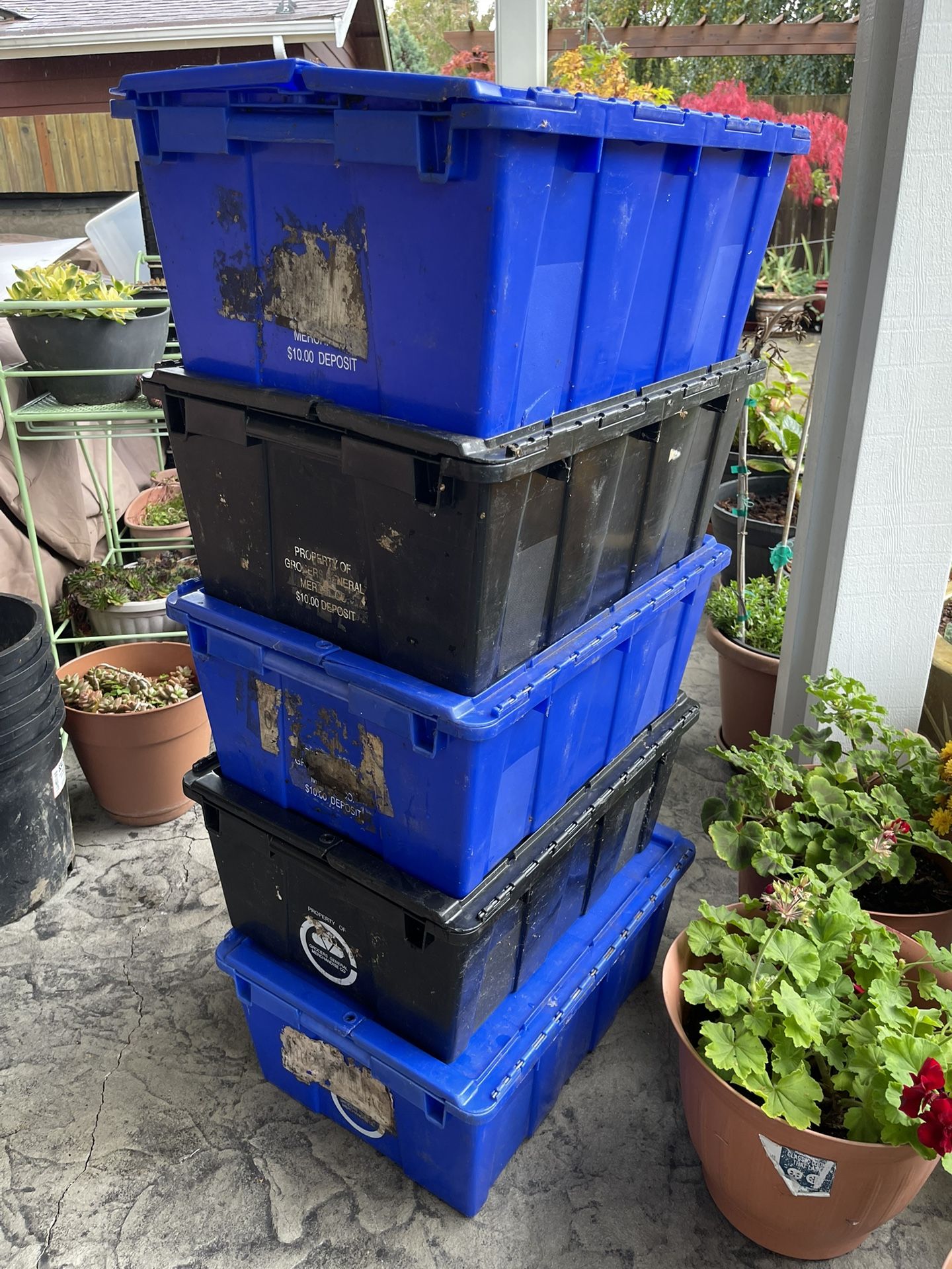 5 Bins