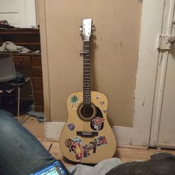 Acoustic Guitar Rogue