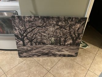 Canvas Wrapped Print