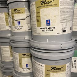 Dover White Flat Finish 