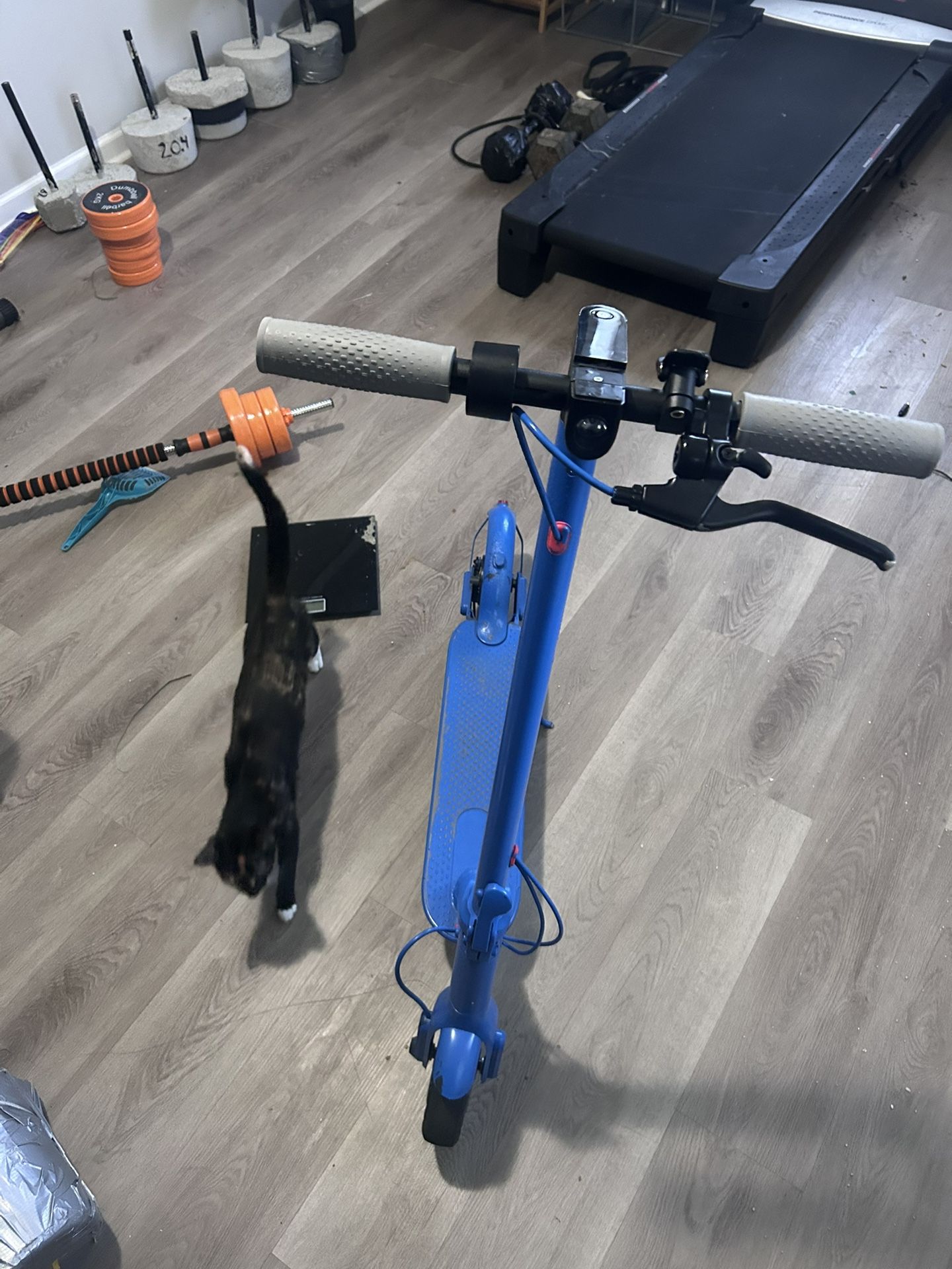 Ladped Electric Scooter 19 Mph