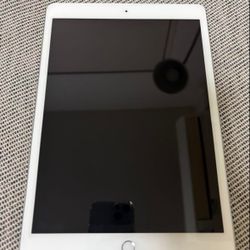 Apple iPad PERFECT Condition
