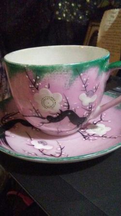 COLLECTABLE FINE PORCELAIN CUP & SAUCER