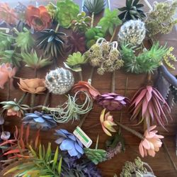 Artificial Succulents 