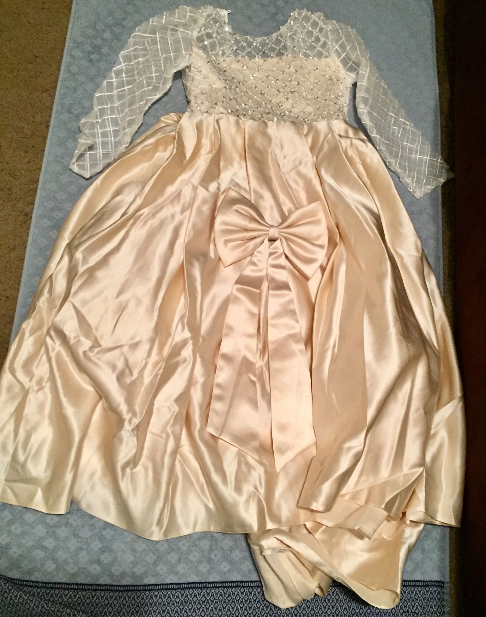 Flower Girl Dress Lace Long Sleeve Satin Kids Princess Puffy Ball Gown Size 6 Champagne Cream